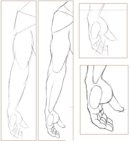 Cum să atragă mâna unei persoane cu creioane utilizând o diagramă foto