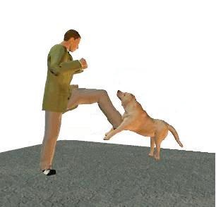 Cum să nu devii victimă a câinilor