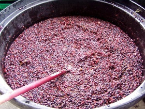 Cum să oprești fermentarea vinului acasă