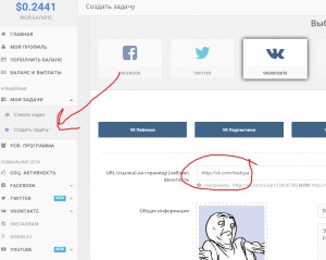 Cum să obțineți mai mult de 1000 de abonați vkontakte gratuit, blogmaster webmaster