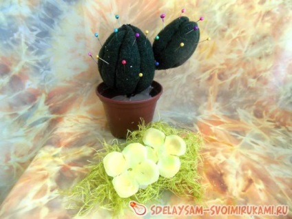 Cactus din plastic spongios - pat de ac, clasa de masterat cu mâinile proprii