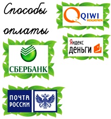 Cum de a rădăcina un vultur vitreg al roșiilor sau reproducerea vegetativă a tomatei, a tomatei