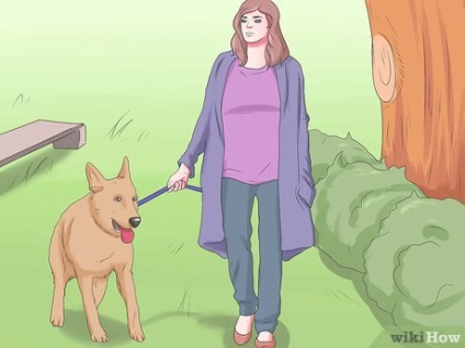 Hogyan törődik a kutya