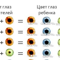 Cum să știți ce fel de ochi un copil va moșteni din culoarea ochilor