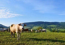 Hogyan juthat a gyermek vissza a normális életbe