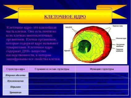 Celula este o unitate elementară a celor vii