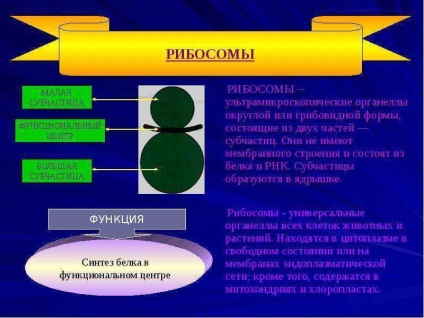 Celula este o unitate elementară a celor vii