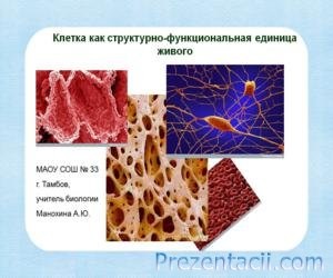 Celula ca unitate structurală și funcțională de viață - prezentare pe biologie