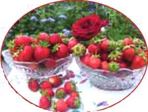 Strawberry (ягода), засаждане и грижи, особено отглеждането, фото