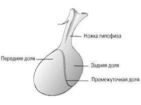 Crupă - simptome, semne, diagnostic, tratament cu crupă