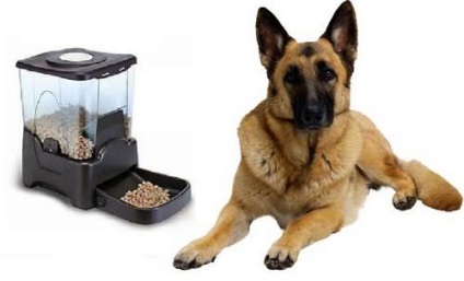 Cumpărați un alimentator de mașină pentru un câine cu timer în Sankt-Petersburg, alimentatoare automate