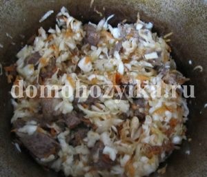 Sauerkraut fiert cu carne și orez - gospodine de blog