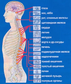 Tratamentul coloanei vertebrale