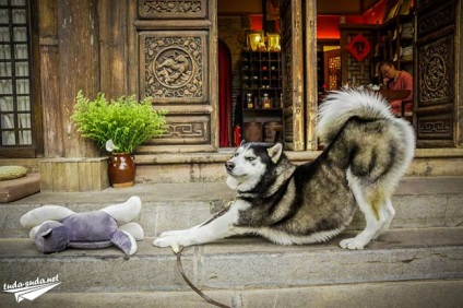 Lijiang China - atracții și fotografii