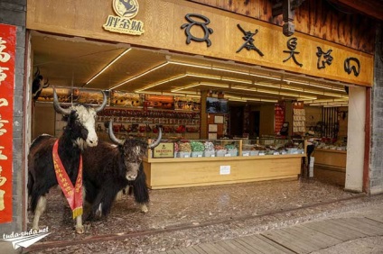 Lijiang China - atracții și fotografii