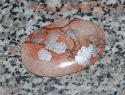 Maestru de clasă pe pictură pietre sakura pe jaspis