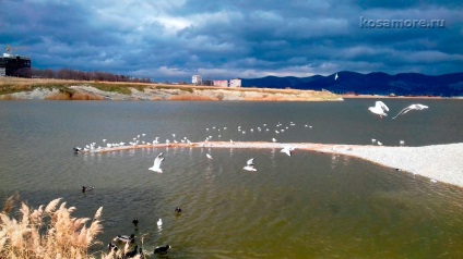 Memorial mic land Novorossiysk