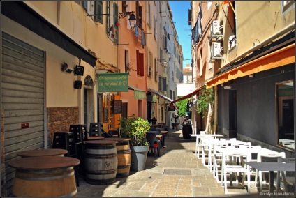 Personalul meu de bote, un sfat de la pisicile turistice