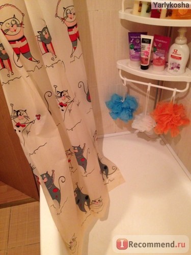 Un set de accesorii pentru pisicile amuzante pentru băi de baie - 