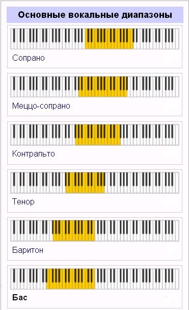 Despre vocea academică - studio de muzică pentru adulți și copii