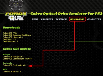 Actualizarea cobra ode