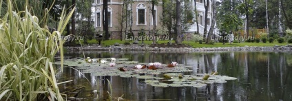 Decorarea paturilor de flori și a paturilor de flori; tipuri, exemple, planuri de paturi de flori