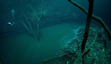 Oceanic ékek (akard ezt razvidet) óceáni ékek