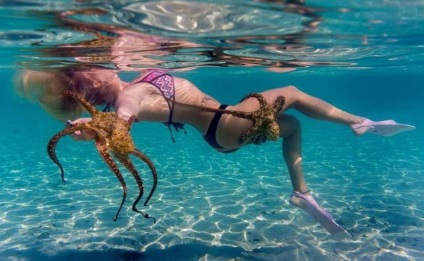 Octopus vs. 10 szörnyű támadások, Popular Mechanics magazin
