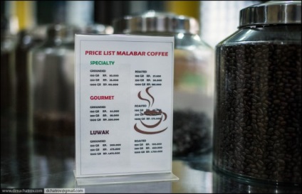 За да научите как да извлечете най-скъпото кафе в света - новини от цял ​​свят