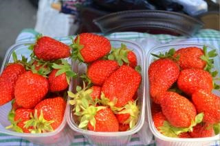 Primele căpșuni locale au apărut pe piețele Sahalin - Sahalin și pui