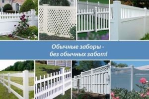 Garduri de plastic pentru o casă de vară din panouri decorative ale unei fotografii și video