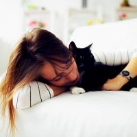 De ce pisicile doresc să doarmă în public