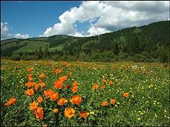 Excursie la muntele Altai