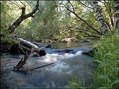 Excursie la muntele Altai