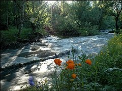 Excursie la muntele Altai