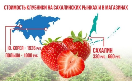Cumpărați căpșunile de la Sakhalin mai profitabile decât știrile străine din regiunea Sahalin
