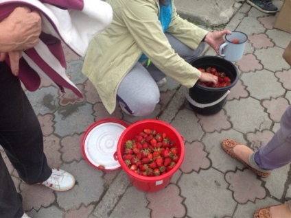 Cumpărați căpșunile de la Sakhalin mai profitabile decât știrile străine din regiunea Sahalin