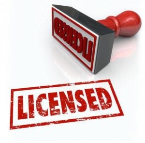 Obținerea unei definiții a licenței, activități, documente, procesarea unei aplicații