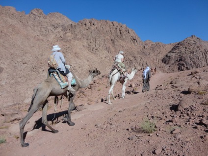 În țara sfântă a lui Israel, Sinai