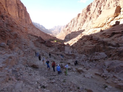 În țara sfântă a lui Israel, Sinai