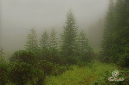 Trekking în Carpați