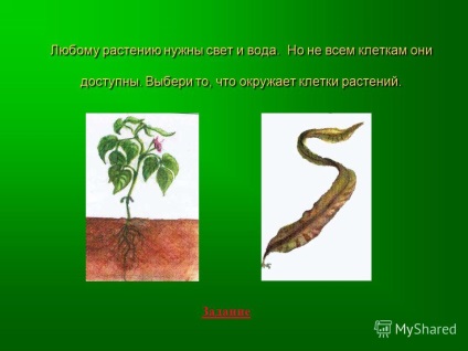 Представяне на поглед към мен, това, което аз съм красива, интересна, много добре обитател на природата!