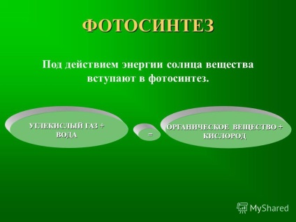 Представяне на поглед към мен, това, което аз съм красива, интересна, много добре обитател на природата!