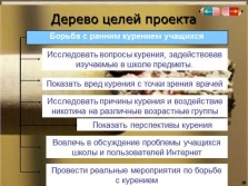 Prezentare - proiectul și etapele principale ale dezvoltării acestuia