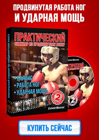 Aplicarea boxului tradițional în Muay Thai