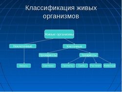 Principiile de clasificare a organismelor vii - o carte științifică de referință