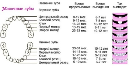 Fogzás tünetei a gyermek, hogyan lehet segíteni a gyermek orvostudomány és a népi módon