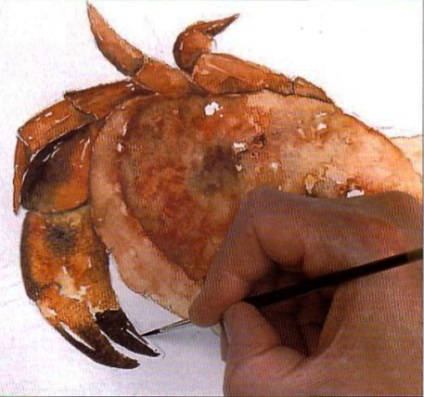 Desen crab, vopsele acuarele