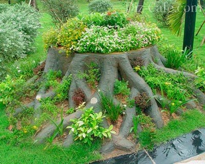 Rutharium în design peisagistic - cum să faci o grădină de rădăcini cu mâinile tale