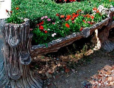 Rutharium în design peisagistic - cum să faci o grădină de rădăcini cu mâinile tale